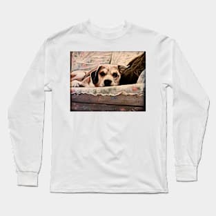 A DOG CALLED WOODY Long Sleeve T-Shirt